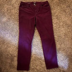 Ann Taylor Loft Purple Modem Skinny Corduroy Pants Size 12